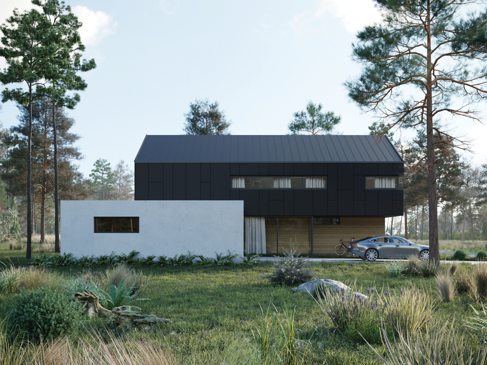 Portfolio Vizprofistudio Visualization of a Black&White Home